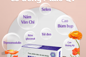 Tập hợp các tinh chất quý hiếm từ thảo dược cho bài thuốc hỗ trợ tăng cường miễn dịch